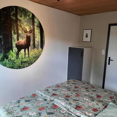 Nyaraló Holiday Apartment Near Willingen Rattlar
