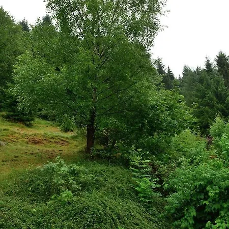 Holiday Apartment Near Willingen Nyaraló